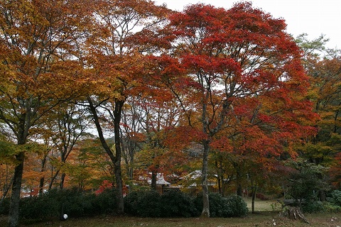 三峰神2.jpg