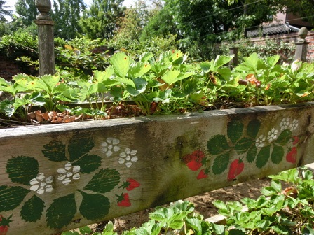 ボタニックガーデン