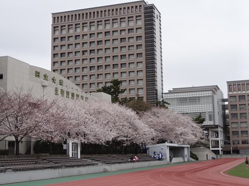 DSC00869_R.JPG