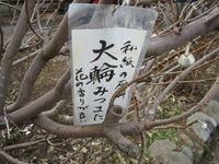 IMG_4958_R.JPG