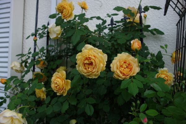 rblog-20180508194218-06.jpg