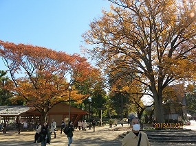 紅葉 131121-584b.jpg