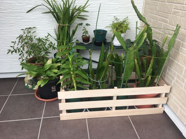 rblog-20170902212327-01.jpg