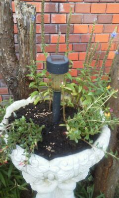 rblog-20140720071052-01.jpg