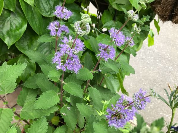 rblog-20180531150337-01.jpg