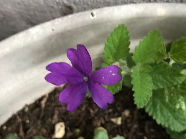 rblog-20181108170137-04.jpg