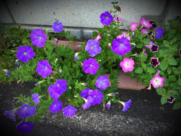 rblog-20160710211450-05.jpg