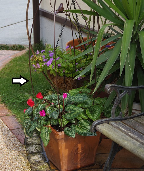 2014_1120_115546-IMGP3317.JPG