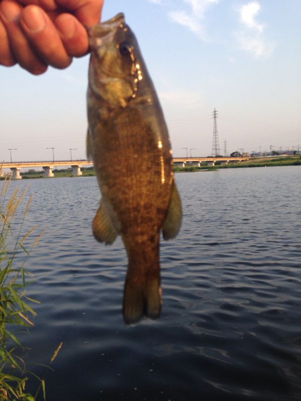 rblog-20140601074404-01.jpg