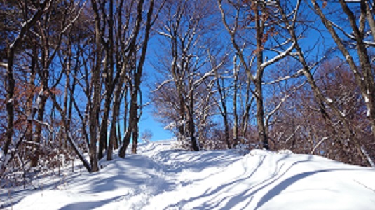 DSC_5432.JPG