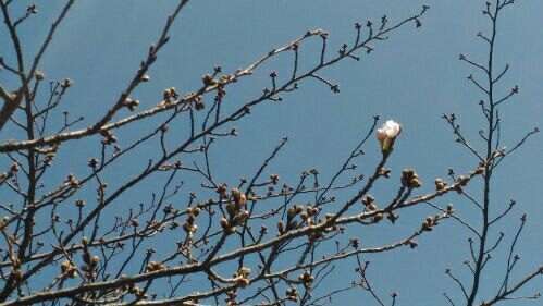 rblog-20160320225637-01.jpg