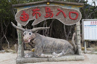 DSC03276.jpg