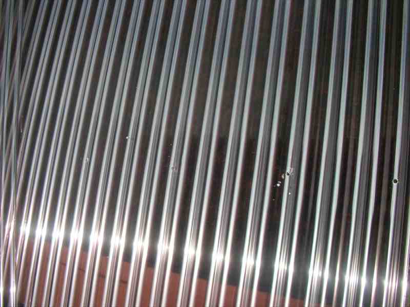 DSCN5557_R.JPG