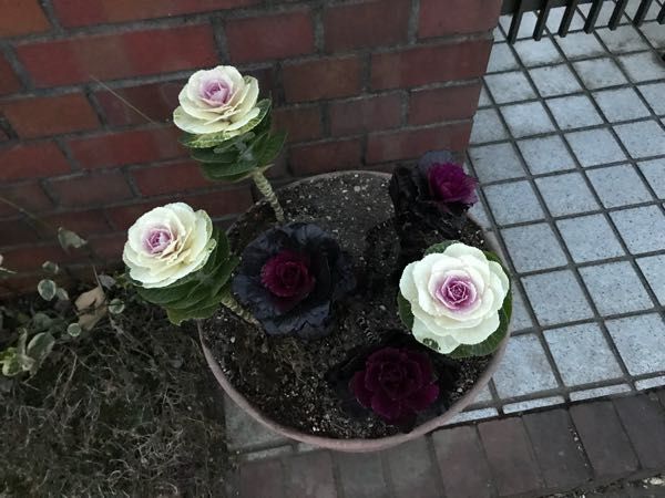 rblog-20171230171950-06.jpg