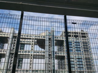 シュタインズ・ゲート