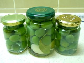 olive3