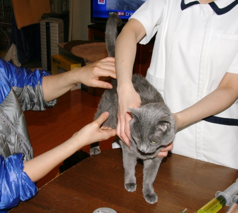 20140208ﾌｰ01.jpg