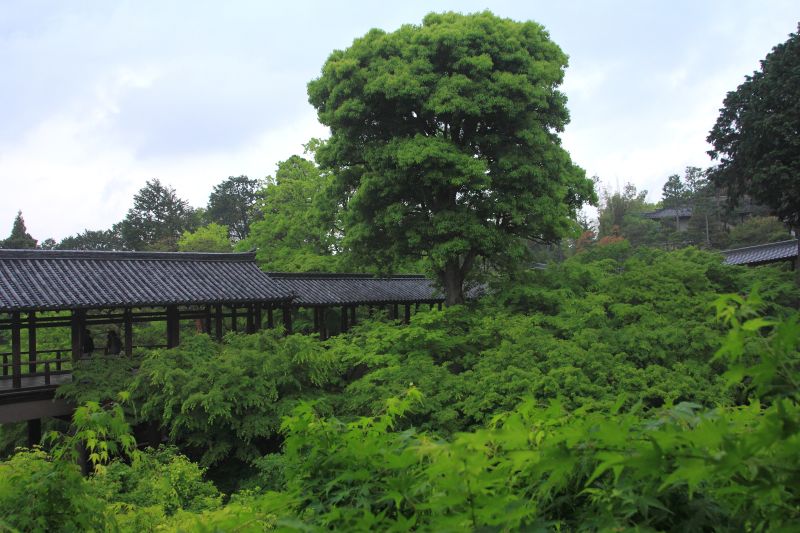 東福寺_002.jpg