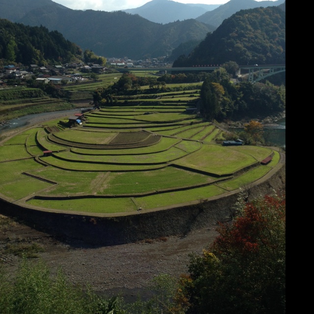 rblog-20131116220842-03.jpg