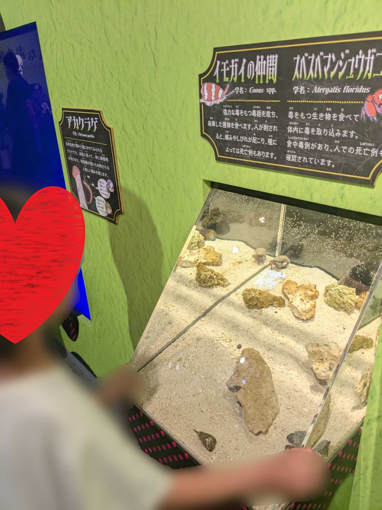 岐阜県各務原市 淡水魚園水族館アクア・トト ぎふ