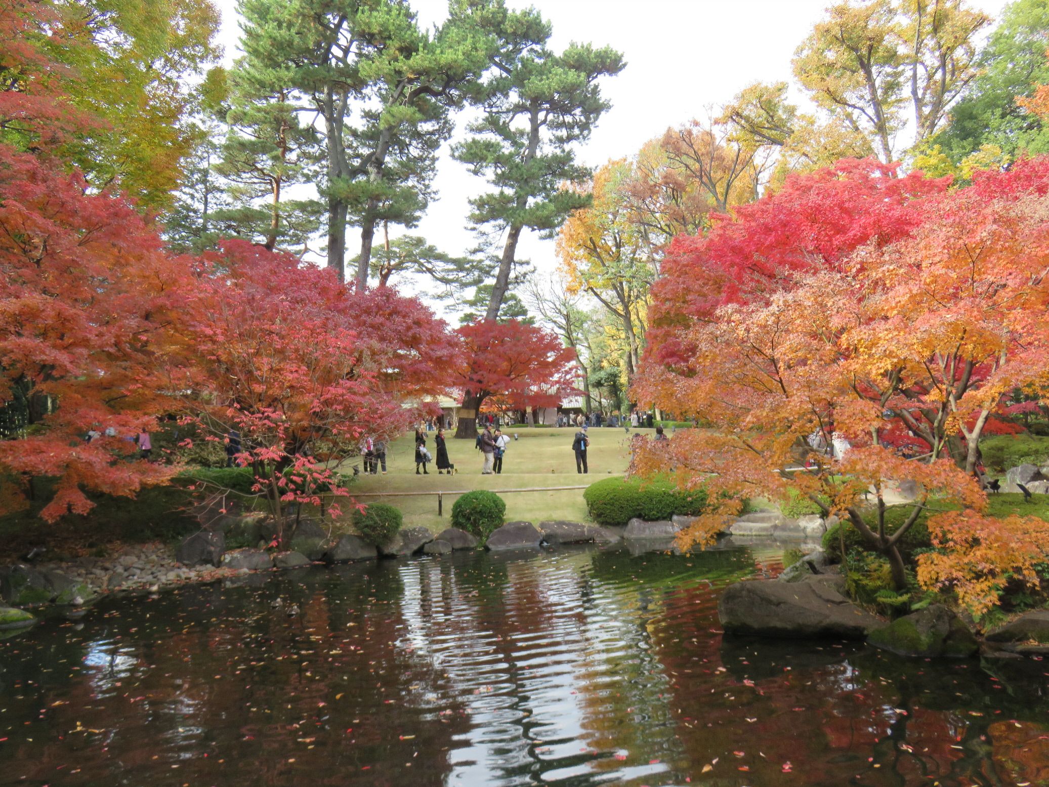 大田黒公園の紅葉 下 三鷹 聞いたか 吉祥寺 二子玉川 And Shibata 楽天ブログ