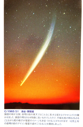 池谷・関彗星 C1965 S1（1965年10月～11月）について | 星とカワセミ
