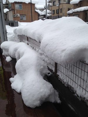 雪の塀20141215