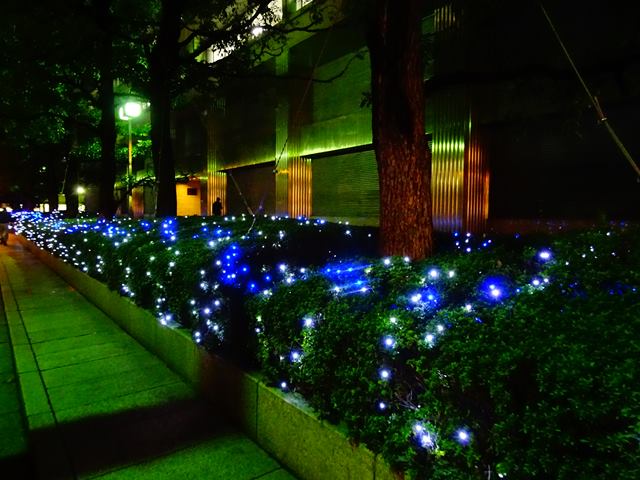 DSC09009_R.JPG