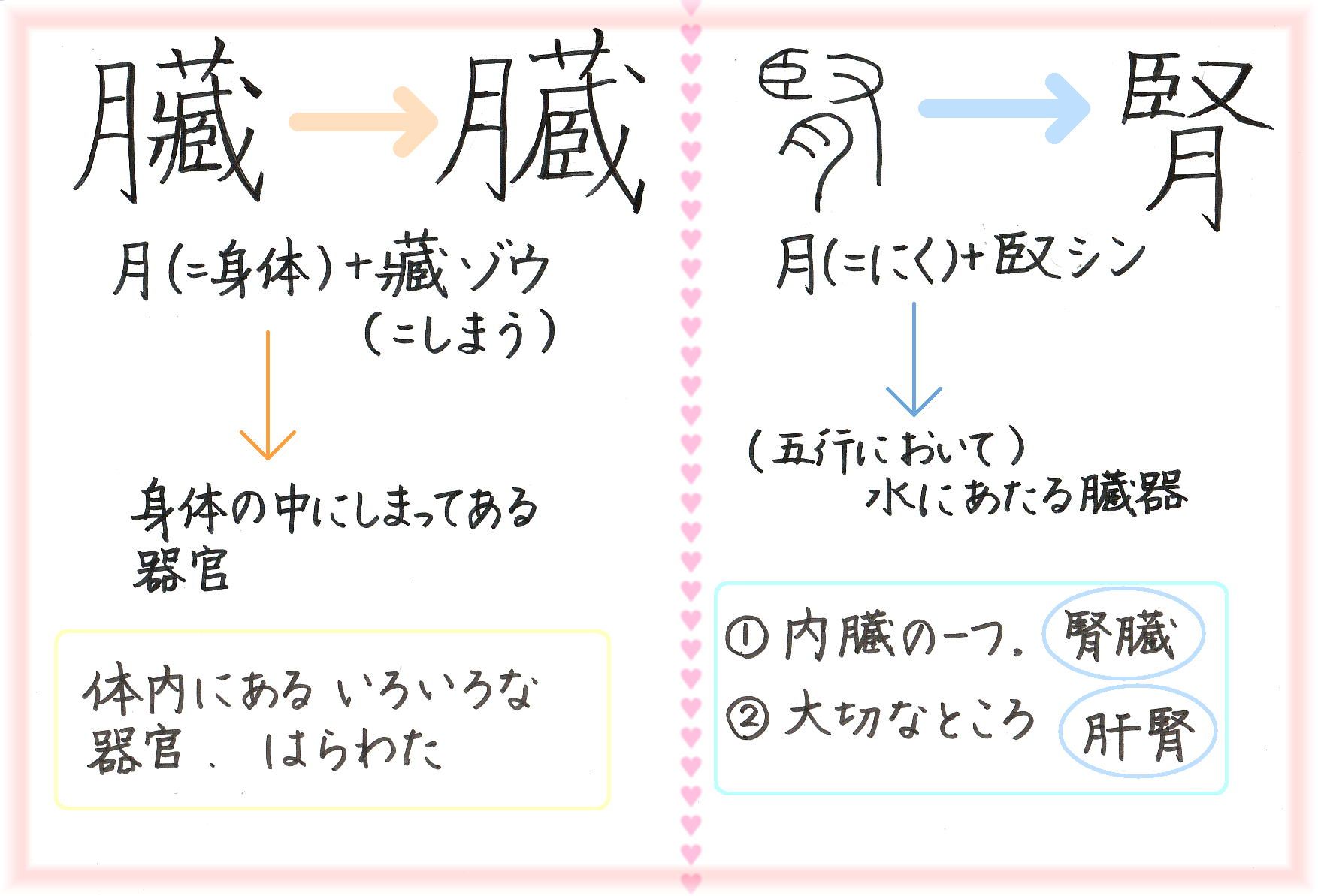 五臓六腑とは 60ばーばの手習い帳 楽天ブログ