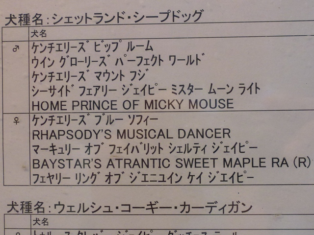 P1010020 - コピー.JPG