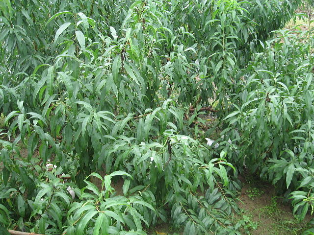 013.JPG