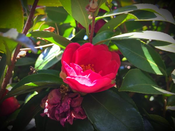 rblog-20150227215104-02.jpg