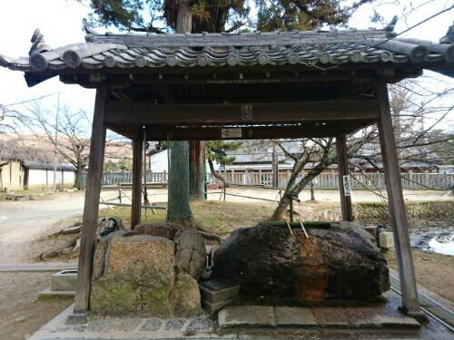 rblog-20180120000442-00.jpg