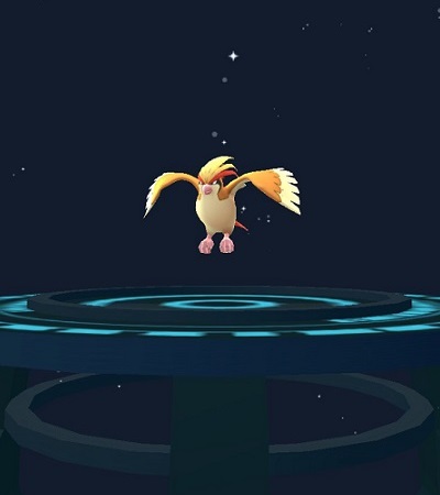 ポケモンGO　ピジョット