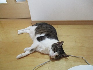 IMG_4590ss.jpg