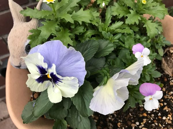 rblog-20181108170243-03.jpg