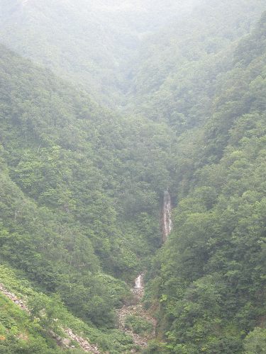Zao0662