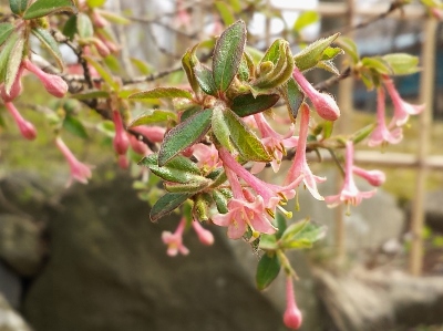 20160416_141514 (400x299).jpg