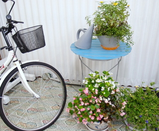 自転車と花.jpg