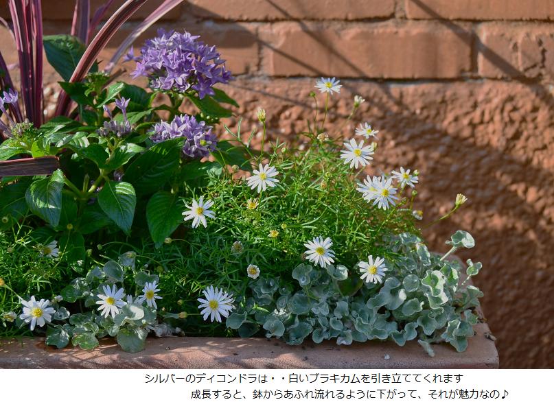 DSC_0566.JPG