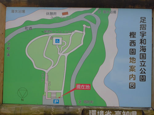 足摺宇和海国立公園
