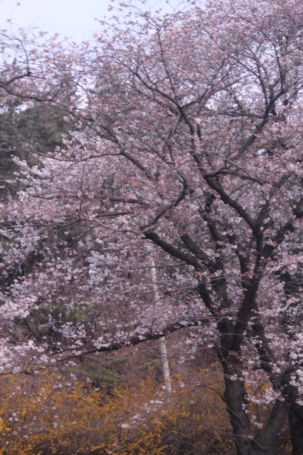 rblog-20171119080641-04.jpg