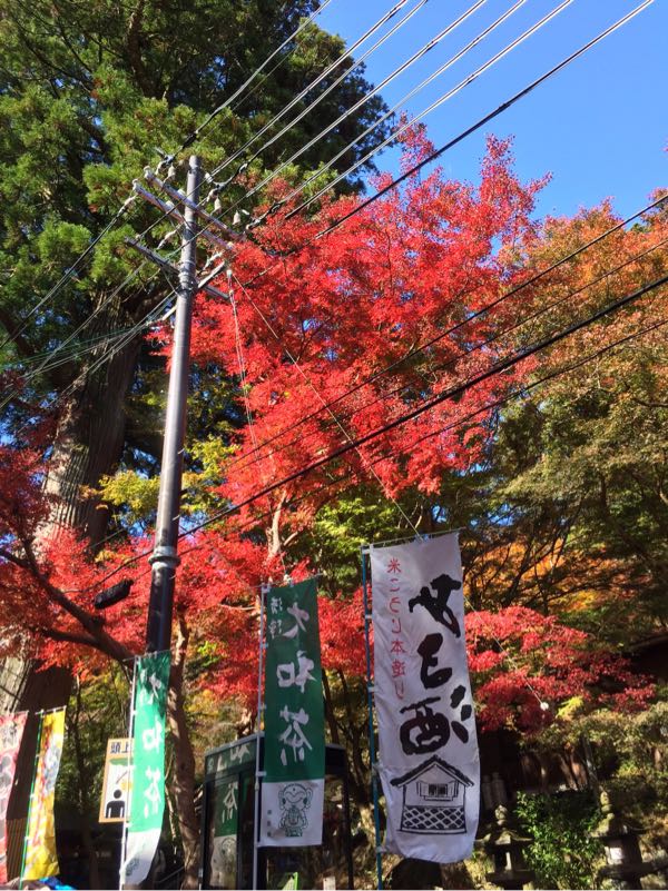 rblog-20171116131324-04.jpg