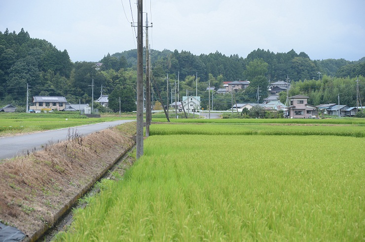 2014.8.9 021.JPG