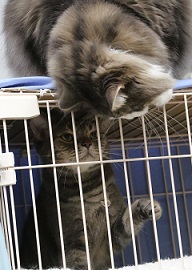 5DA_2312-1.jpg