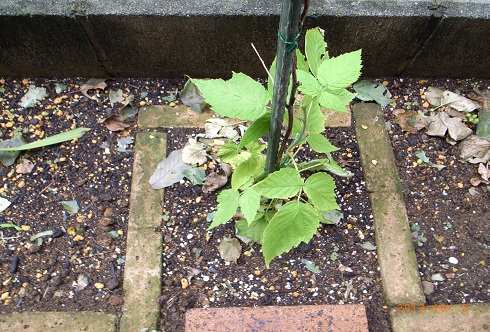 08