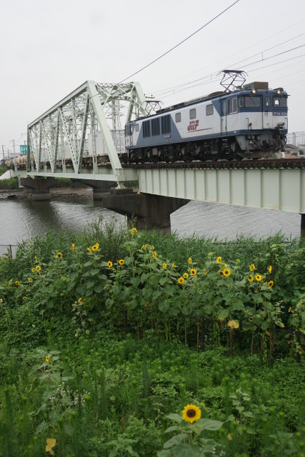 EF65 1105牽引 小田原チキ工臨& ニューなのはな 試運転6