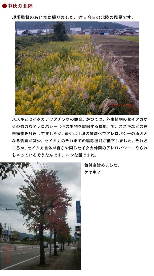 2012.10.31-2.jpg