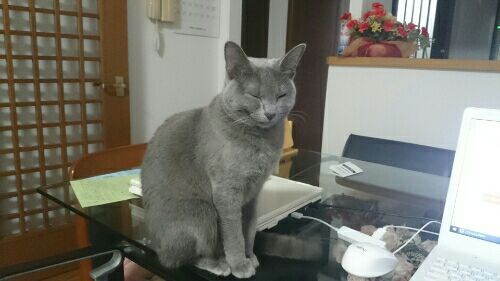 rblog-20171015223341-01.jpg