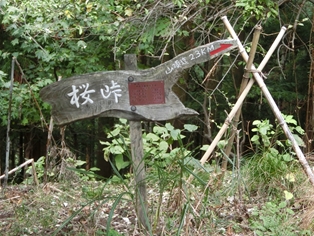 15.JPG